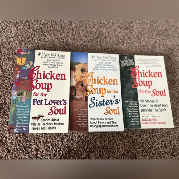 Chicken Soup for the Soul Books - Picture 2 of 7